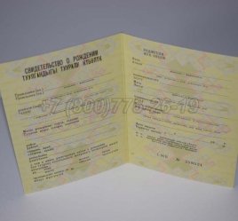 Свидетельство о Рождении 1991г Киргизской ССР в Калуге